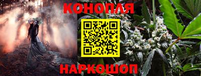 гашик Ипатово