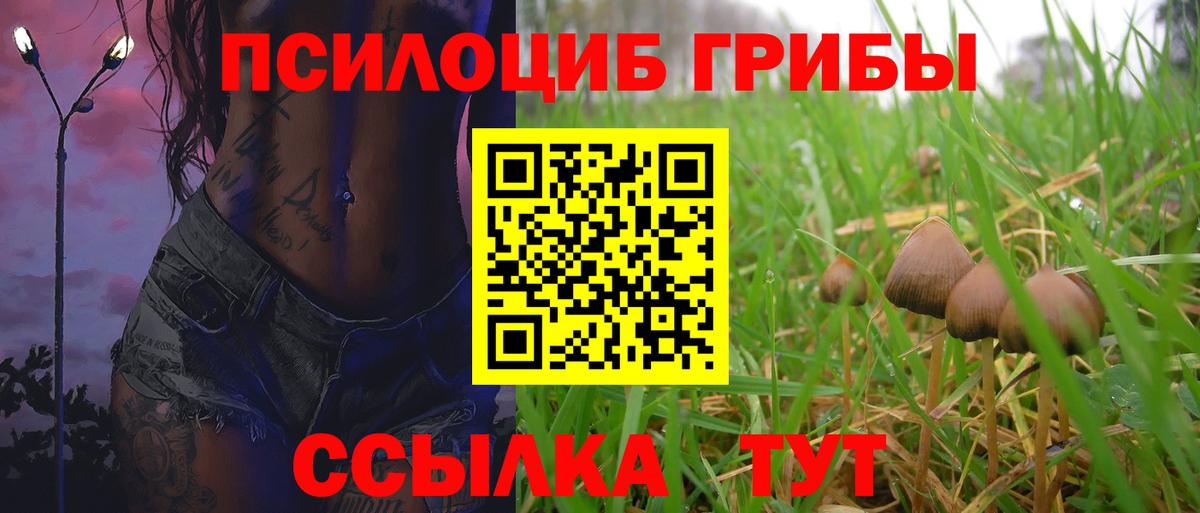 Галлюциногенные грибы мухоморы  Галлюциногенные грибы мицелий  Медногорск  закладка  Вход с VPN 